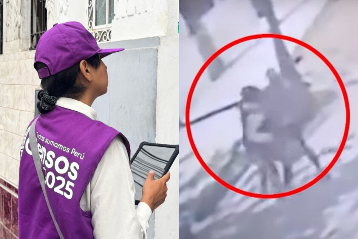 El INEI informó que la trabajadora censal recibió atención médica inmediata y que, pese al shock sufrido, se encuentra fuera de peligro. (Foto: Composición)