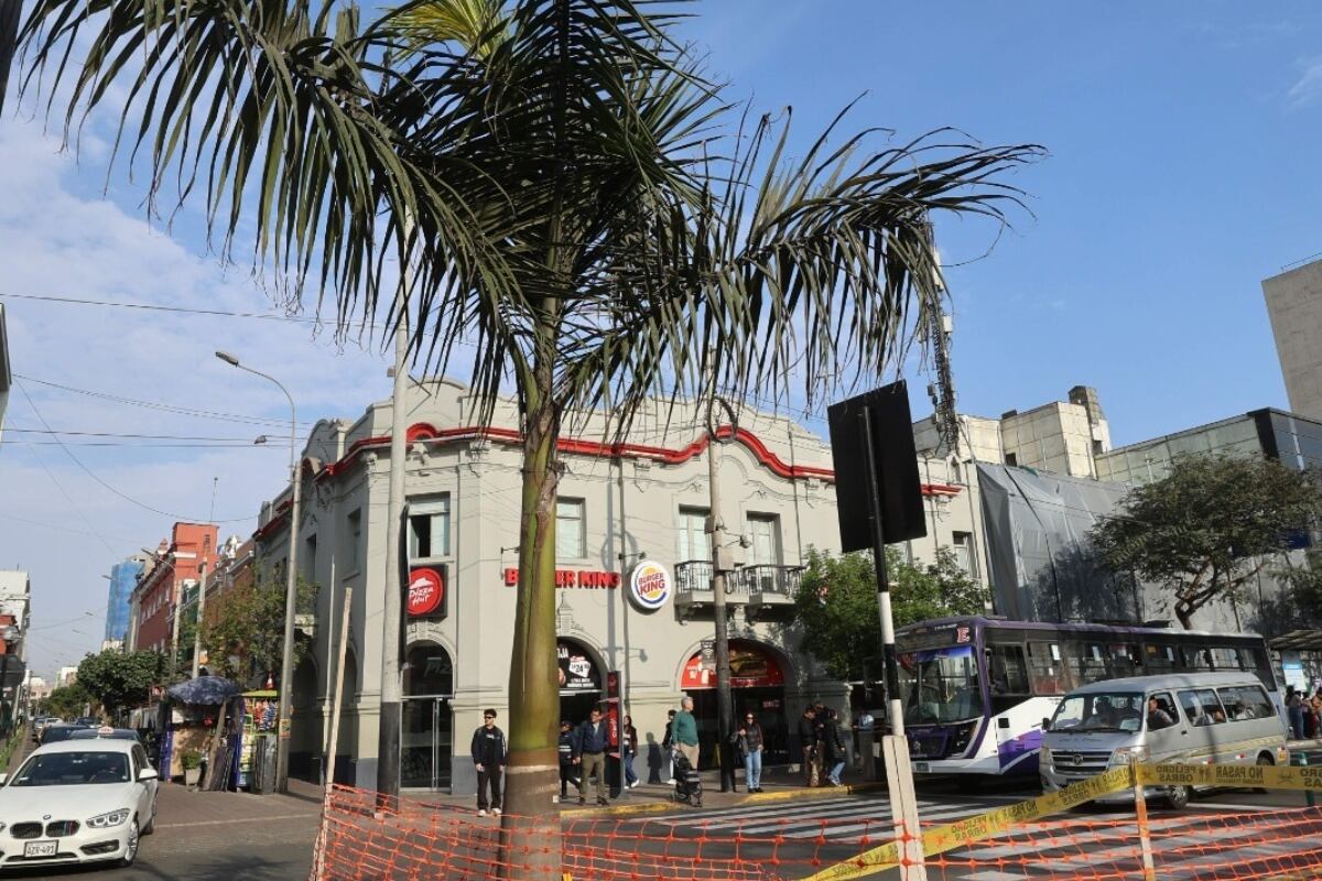 Miraflores culmina traslado de sus palmeras sin afectar el patrimonio verde del distrito. (Foto: Difusión)