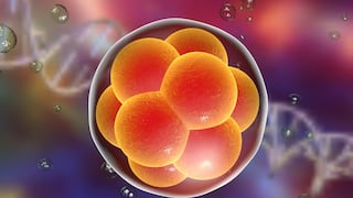 Científicos desarrollan un modelo de embrión humano a partir de células madre
