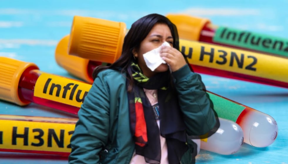 La incidencia de nuevas variedades de gripe, como la Influenza A H3N2, impulsará la demanda de antigripales.