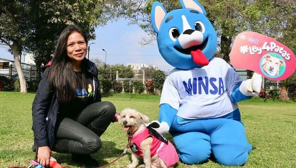 En el Perú, hay más de 6 millones de perros y gatos en estado de abandono. Con la Ley 4 Patas, se busca combatir esta problemática.