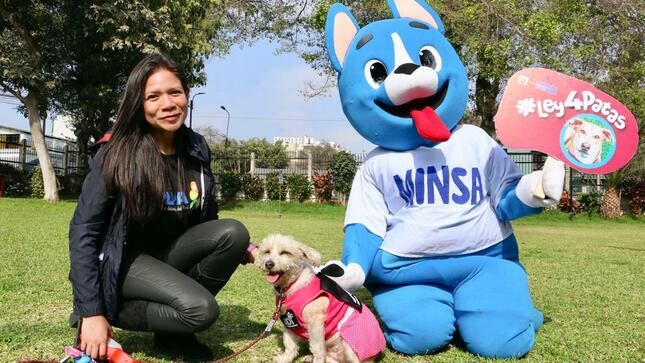 En el Perú, hay más de 6 millones de perros y gatos en estado de abandono. Con la Ley 4 Patas, se busca combatir esta problemática.