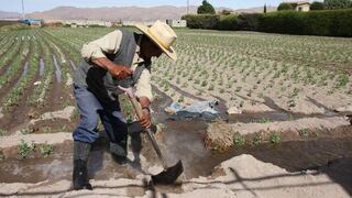 Agap: “Demandamos al Gobierno que impulse la propuesta de entregar subsidios a los agricultores a través de bonos extraordinarios”