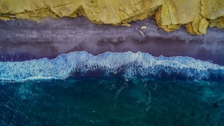 Explora la Reserva Nacional de Paracas: 50 años protegiendo especies