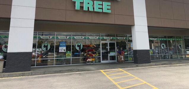 Los artículos de belleza coreanos que puedes comprar en Dollar Tree