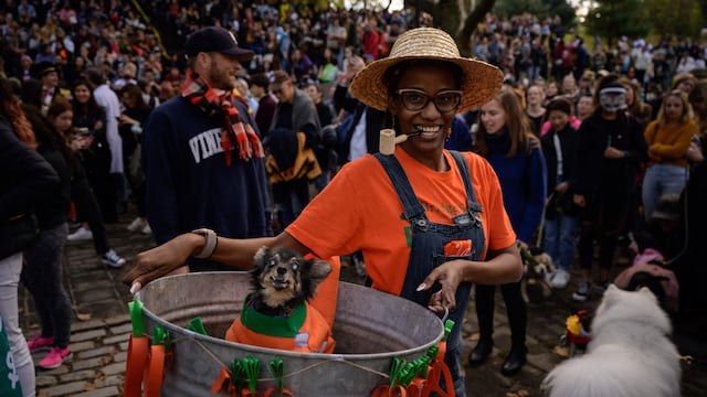 EE.UU.: Brooklyn celebra Halloween con desfile de disfraces de perros | FOTOS