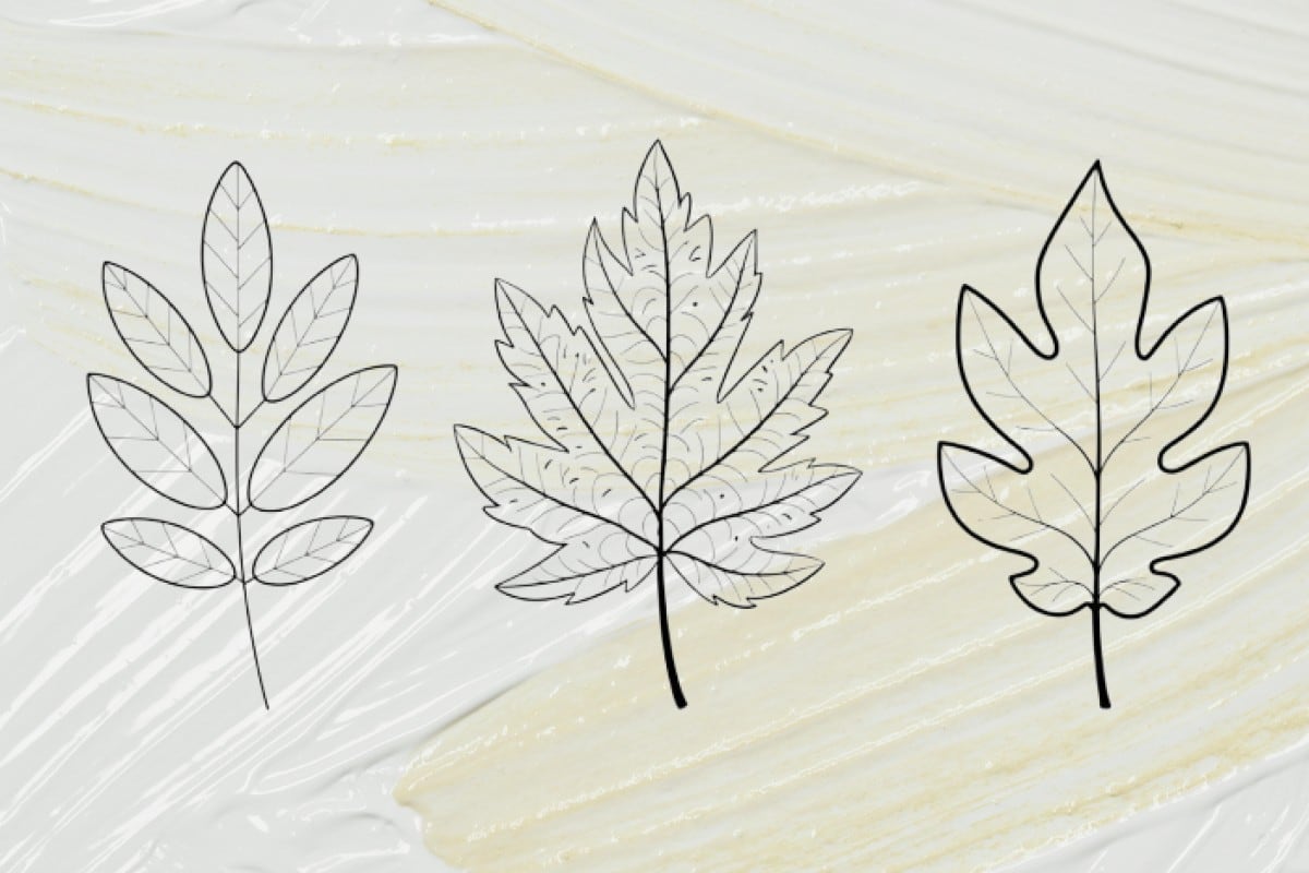 La hoja que escojas en este test de personalidad sacará a relucir lo que el destino tiene preparado para ti. (Imagen: El Comercio/Mag)