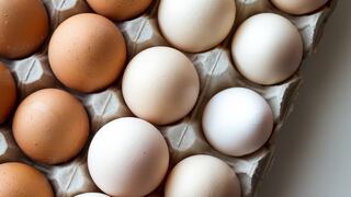 Día Mundial del Huevo: ¿por qué se celebra y cuáles son sus principales beneficios?