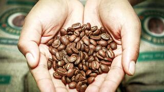 Perú alcanzó la cifra histórica de US$ 7,4 millones en exportación de café a Australia en 2020