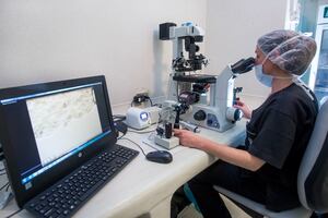 Reproducción asistida: la inteligencia artificial mejora la selección de embriones con más del 80% de precisión