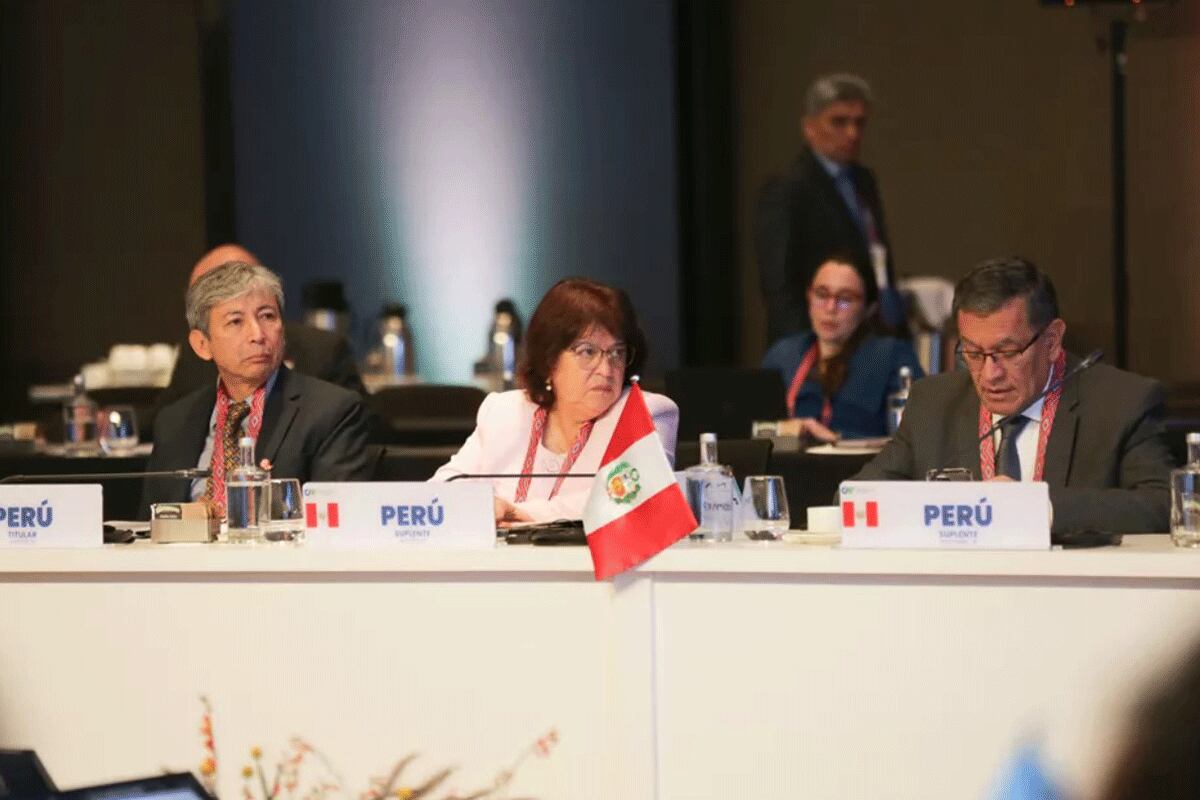 CAF detalló también que la segunda fase de Proregión abordará cuellos de botella en el transporte de mercancías. FOTO: CAF.