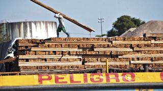 Madre de Dios: ordenan 36 meses de prisión preventiva para funcionarios implicados en tráfico de madera