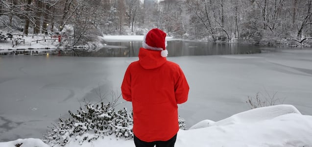 Frío ártico traerá nieve en la víspera del Año Nuevo 2026: estos son los estados más afectados