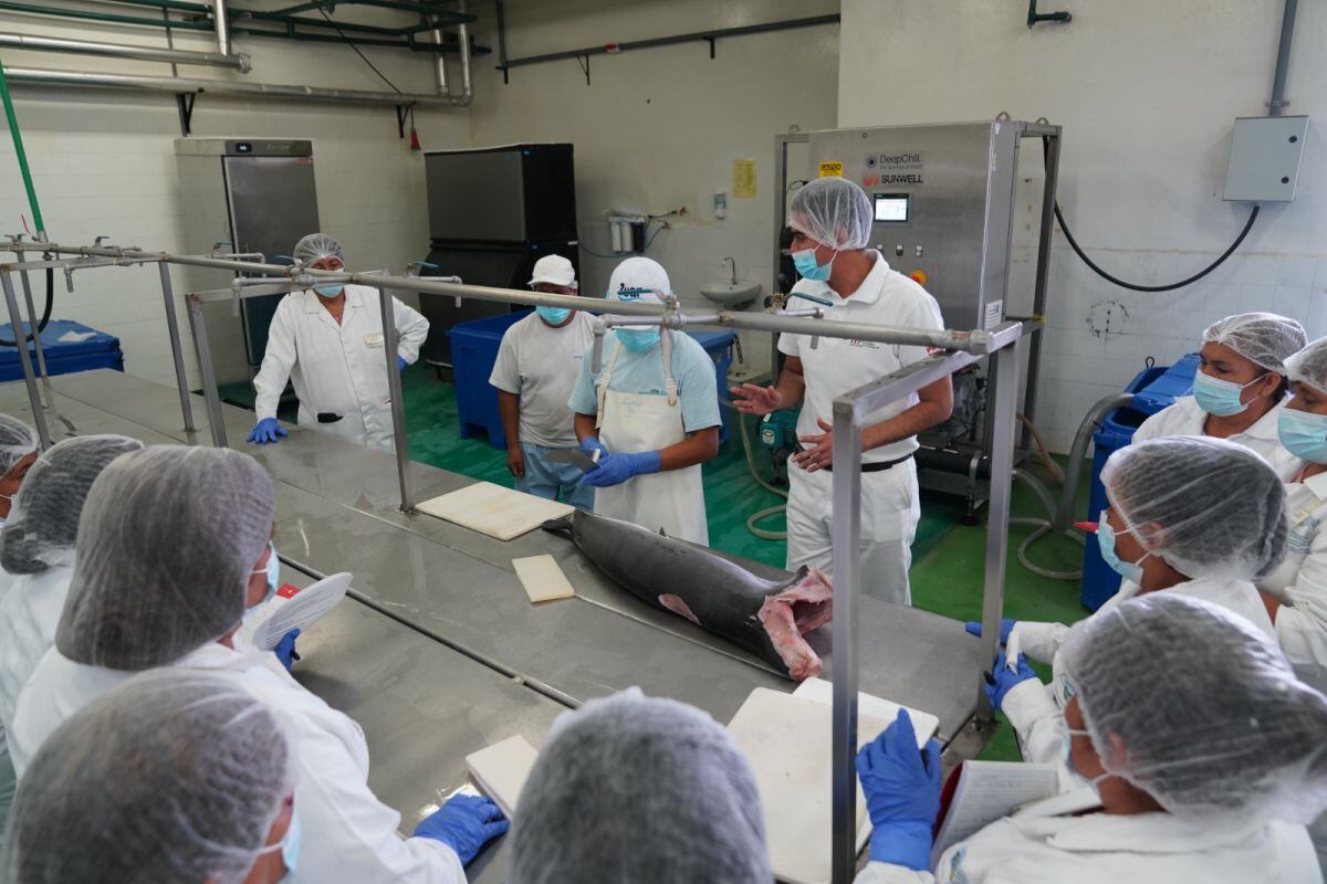 Más de 35 pescadoras afectadas por el derrame de petróleo en el mar reciben capacitación. (Foto: Instituto Tecnológico de la Producción)