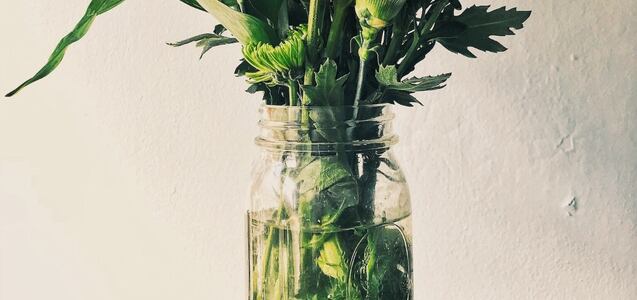 ¿Cómo hacer para que las flores duren más tiempo?