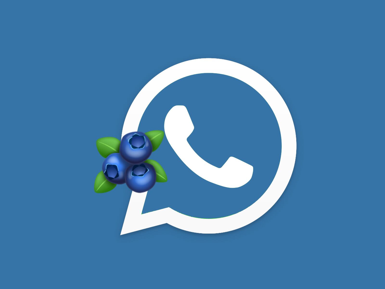 WHATSAPP | Nunca más vas a querer volver al color verde. (Foto: MAG - Rommel Yupanqui)