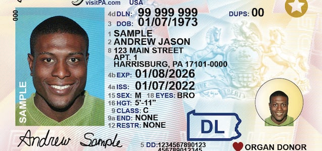 Real ID, el nuevo documento obligatorio para viajar dentro de Estados Unidos