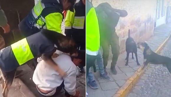'Bigotes', el perro sereno que lucha contra la inseguridad ciudadana en el Cusco | Foto: Composición / Captura de video Facebook