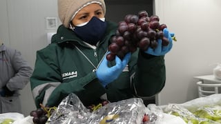 Productores peruanos de uva y cítricos podrán exportar a Argentina desde este año