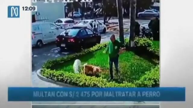 Magdalena: multan con S/ 2,475 a hombre por maltratar a sus mascotas | VIDEO