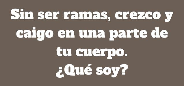 ¿Qué crece y cae en una parte de tu cuerpo? Responde la adivinanza con rapidez