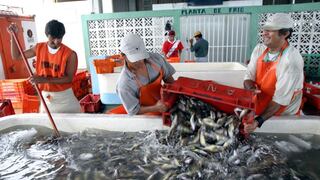Cebicherías descartan que consumo nacional de pescado se vea afectado por derrame de petróleo