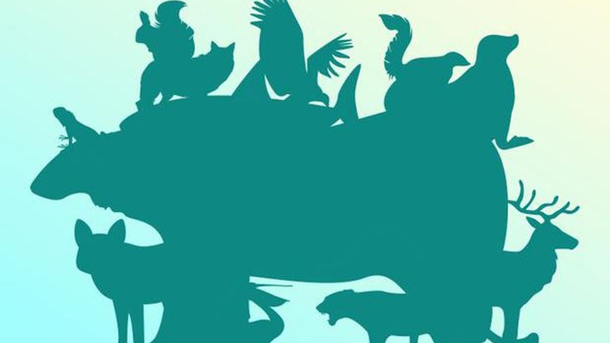 ¿Cuántos animales se ocultan en la sombra que se presenta en la imagen?