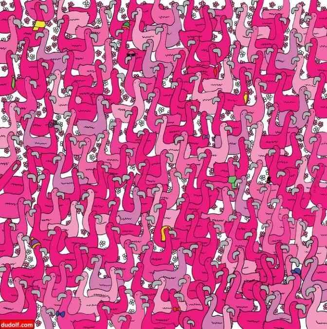 Si puedes resolver este acertijo rápidamente, demuestras una gran inteligencia, un reconocimiento de patrones superior y una atención excepcional a los detalles.