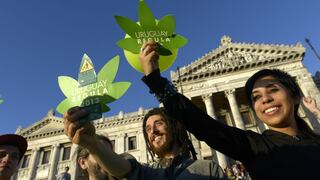 Secretario de la OEA no cree que Uruguay será "paraíso de la marihuana"