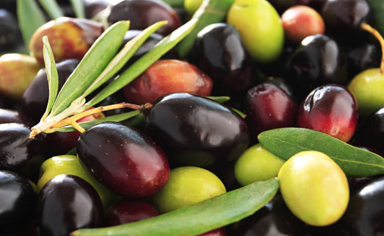 La diferencia existente entre una aceituna verde y otra negra y los beneficios que nos aportan. (Fuente: iStock)