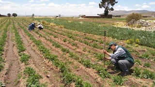 Bloqueos se suman a problemas relacionados a la urea y sequías en el agro