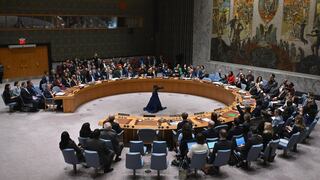 Egipto y Jordania deploran la “incapacidad” del Consejo de Seguridad ante el veto de EE.UU.