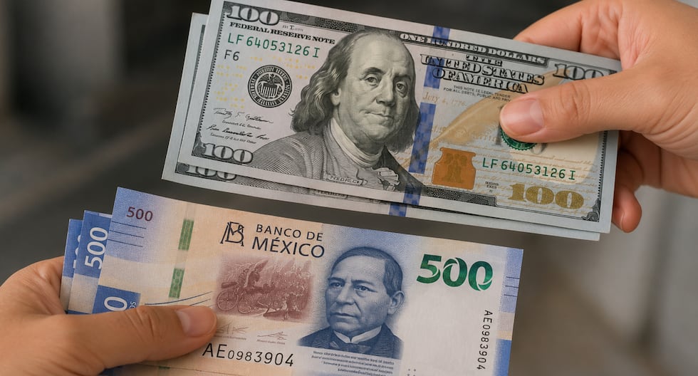 Price of the Dollar in Mexico today, Saturday June 20, 2026: how much the USD is worth in MXN