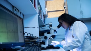 Científicas peruanas al mundo: crearán 50 biografías en Wikipedia para darles mayor visibilidad