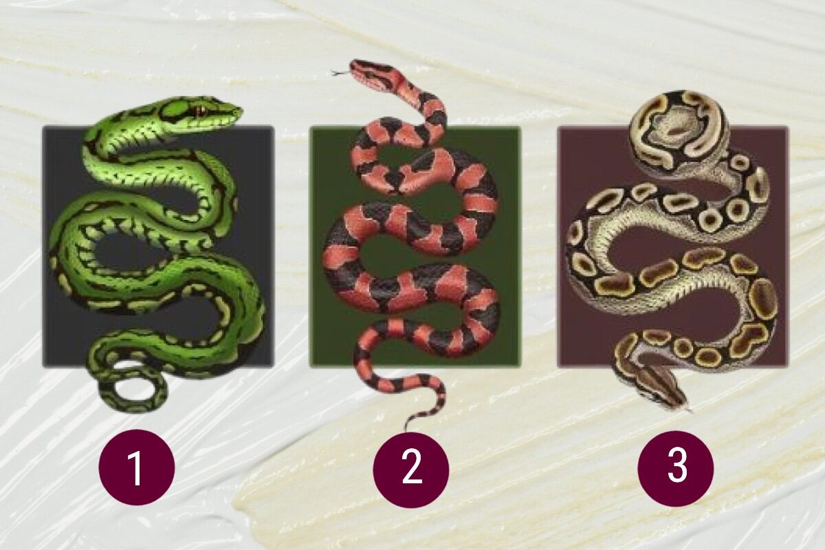 Escoge una de las serpientes en esta imagen para conocer qué clase de persona eres. (Imagen: El Comercio/Mag)