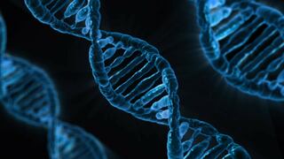 Crean nueva técnica de edición genética que podría evitar miles de enfermedades