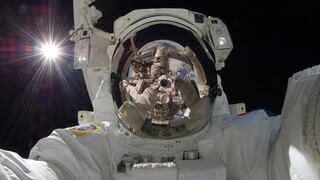 De qué trata el experimento “Terminator” que los cosmonautas han iniciado en el espacio