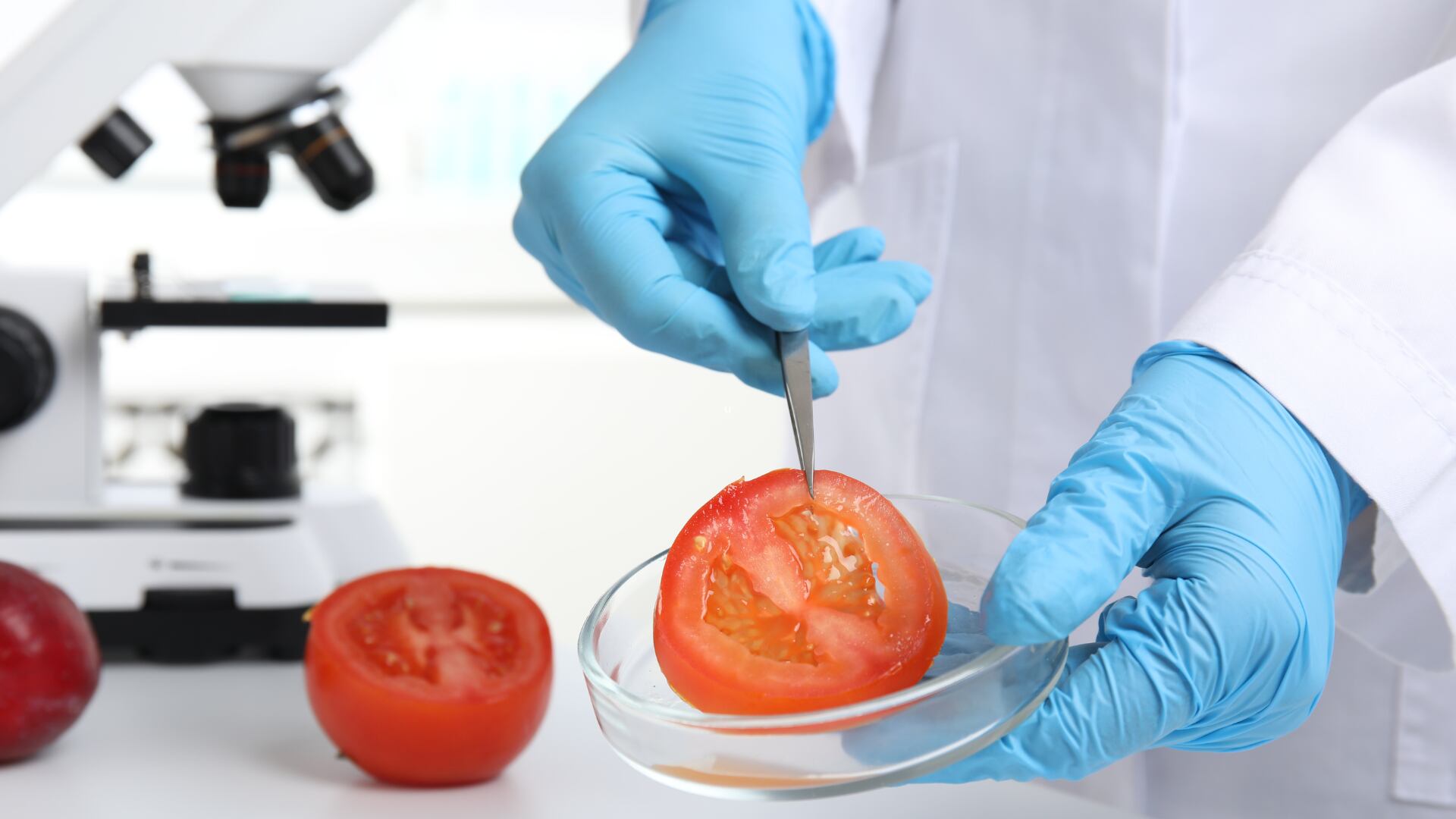 Se sugiere que el tomate sea lavado y pelado antes de ser consumido.