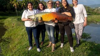 La expedición que llevó a conocer a chefs de todo el mundo las maravillas culinarias de la costa y selva peruana