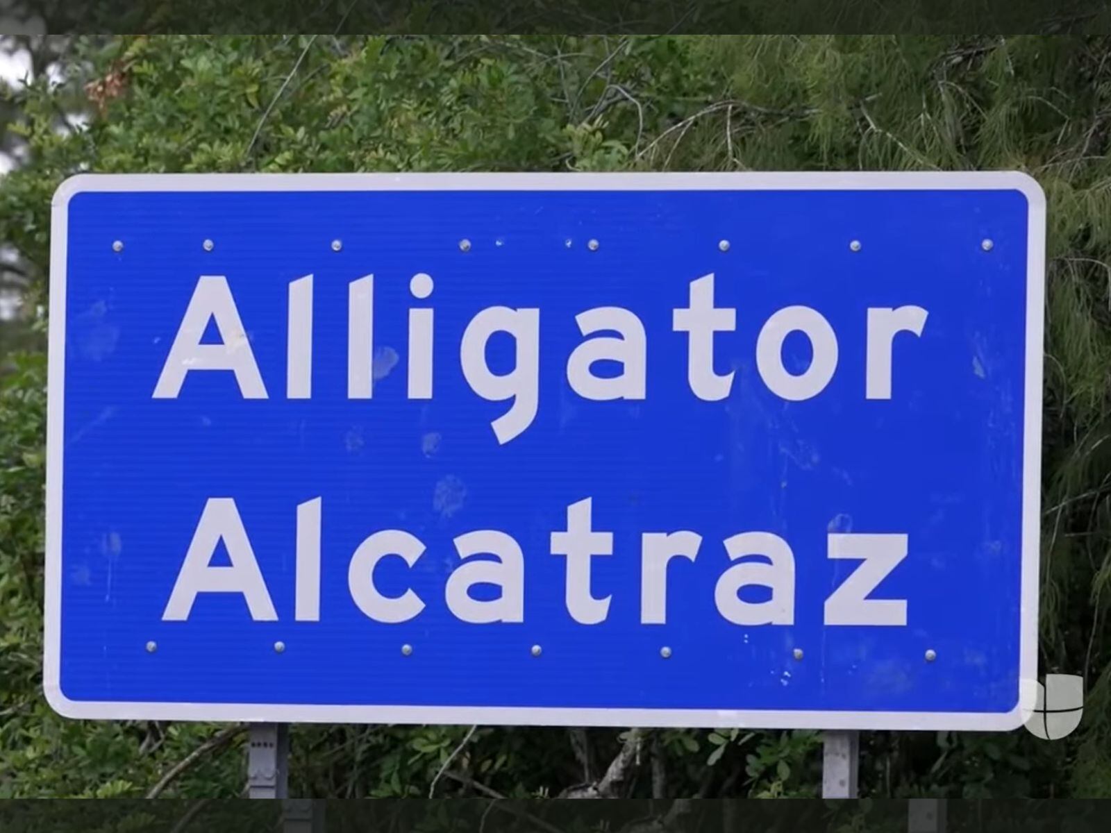 Inmigrantes recluidos en Alligator Alcatraz han denunciado "tratos inhumanos". (Crédito: Univision Noticias / YouTube)