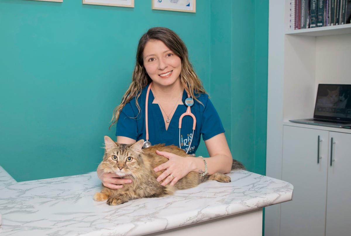 La clínica ofrece atención especializada para gatos y servicios como laboratorio, diagnóstico por imágenes, odontología, cirugía y otras especialidades.