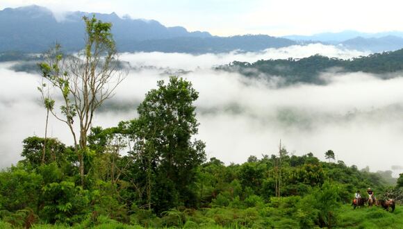 En la vasta región de La Mosquitia, en Honduras, la deforestación es la principal razón de la pérdida del ecosistema. La ganadería, los cultivos ilícitos y la minería ilegal son algunas de las causas. FOTO: Cortesía habitantes de la región.