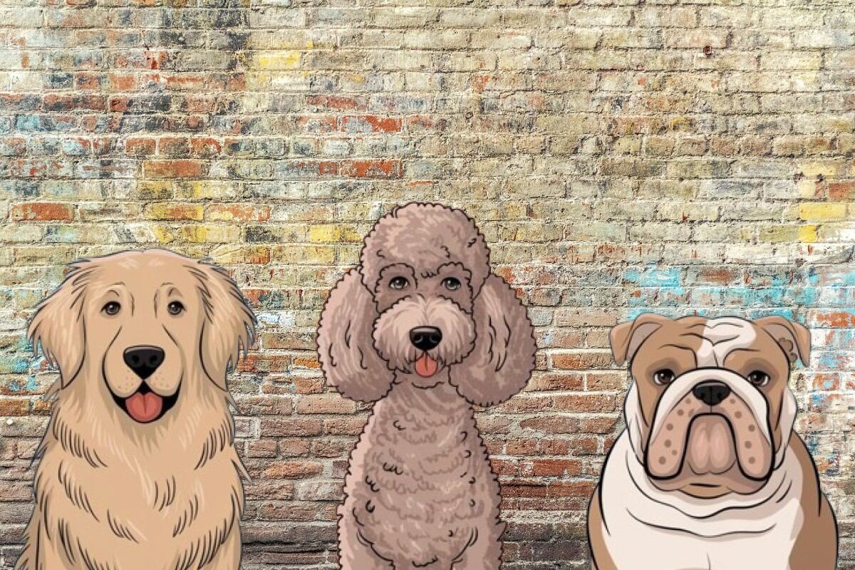 A través de una simple decisión, este test visual tiene como objetivo revelar tu verdadera forma de ser. (Imagen: El Comercio/Mag)