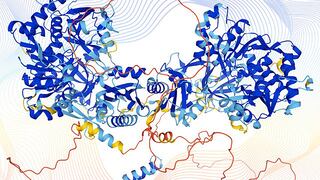 La IA de Google ha logrado predecir la estructura de casi todas las proteínas conocidas