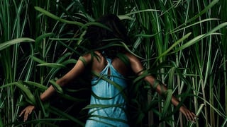En la hierba alta: ¿qué está diciendo la crítica sobre In the Tall Grass, la nueva película de Netflix?