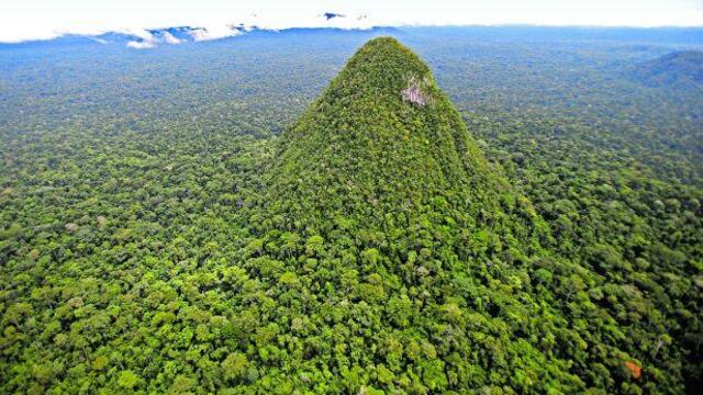 Gobierno anuncia creación de Parque Nacional Sierra del Divisor