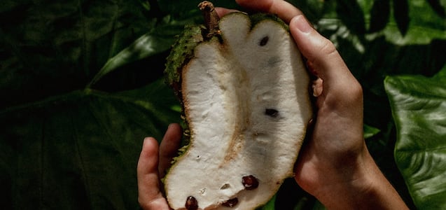 Trucos caseros para quitar las semillas a las guanábanas