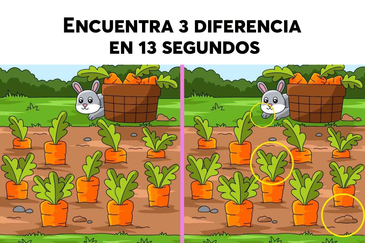 RETO VISUAL | Aquí están las tres diferencias entre las dos imágenes de conejos.
