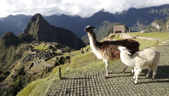 Link para comprar boletos y visitar Machu Picchu: esta es la plataforma del Gobierno | En esta nota te contamos sobre la nueva forma para poder comprar boletos para conocer la maravilla del mundo. (Archivo)