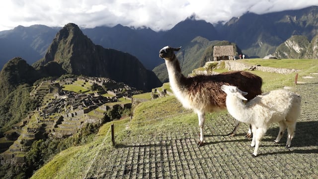 Link para comprar boletos y visitar Machu Picchu: esta es la plataforma del Gobierno